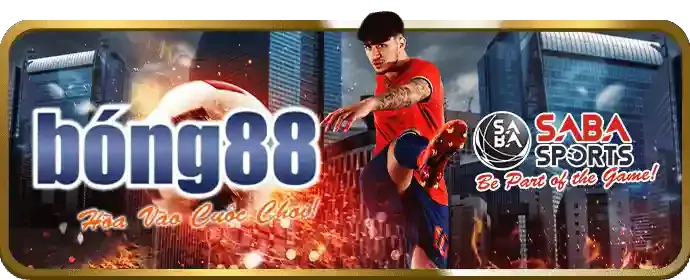 Cá cược bóng rổ và tennis